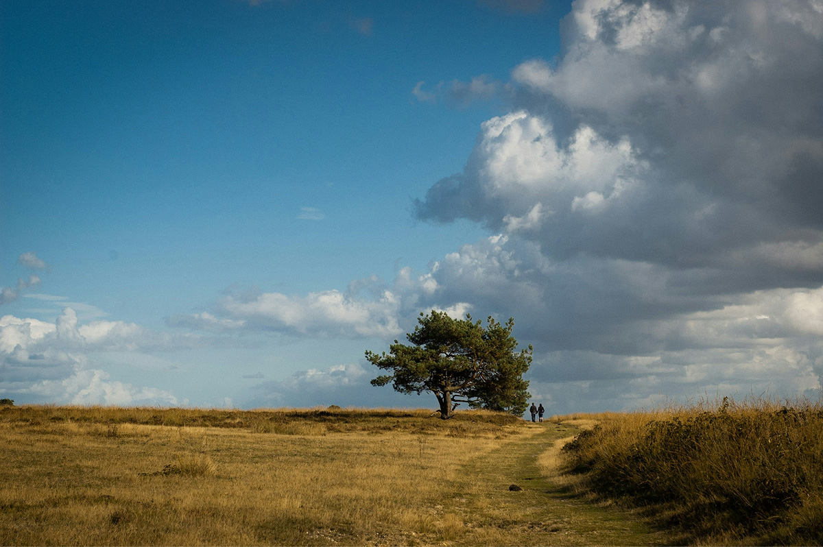 a couple walking against a scenic arid background