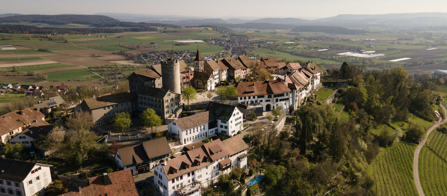scenic view of an old town with brown roofed houses surrounding a castle